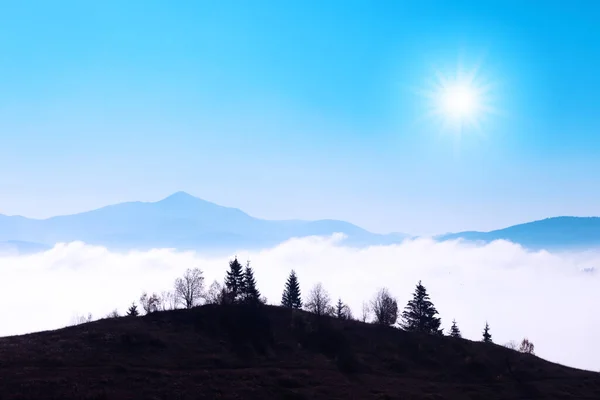 Belleza montañas azules con cielo claro y silueta de árboles —  Fotos de Stock