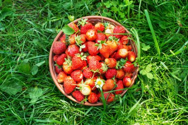 Çilek tabakta yakın plan.