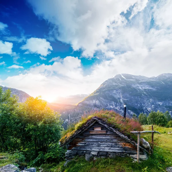 Las casas cubiertas de hierba en Noruega —  Fotos de Stock