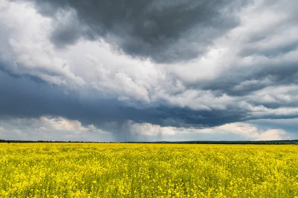 Dramatic storm clouds with rain over yellow rapeseed field — Stock Photo, Image