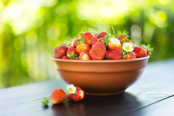 Erdbeere im Teller Nahaufnahme — Stockfoto