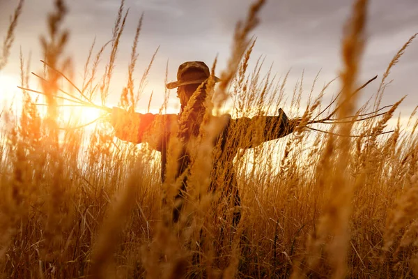 Espantapájaros asustadizos en un campo de trigo al atardecer — Foto de Stock