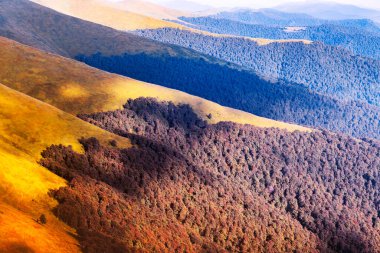 Resimli sonbahar dağları kızıl kayın ormanlarıyla kaplı.