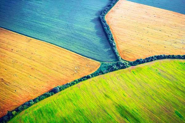 Aerial drone top view fields — Stock Photo, Image