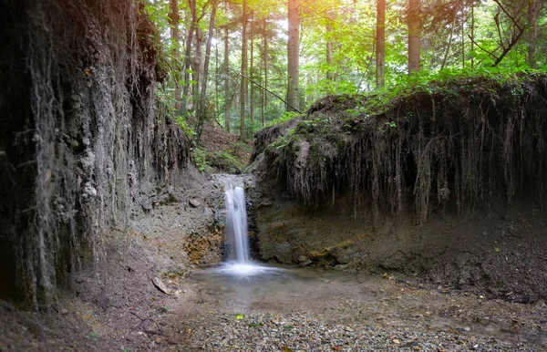 Fluxo de montanha clara na floresta exuberante — Fotografia de Stock