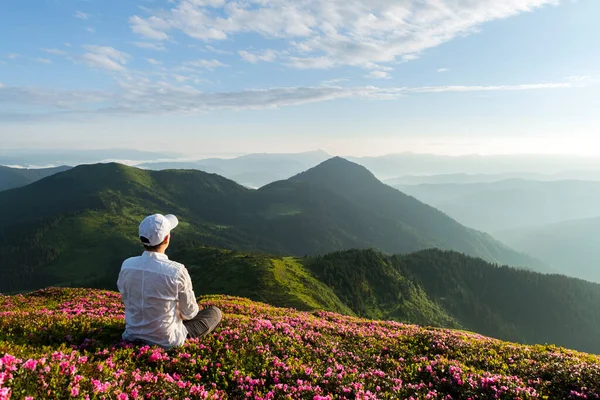 A tourist in white clothes sits on a pink carpet of rhododendron flowers — Stock Photo, Image