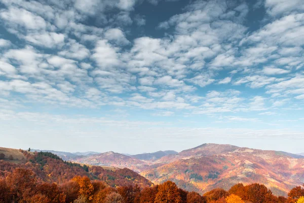 Schilderachtige herfstbergen met rood beukenbos — Stockfoto