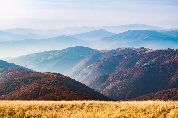 Montanhas de outono pitorescas com floresta de faia vermelha — Fotografia de Stock