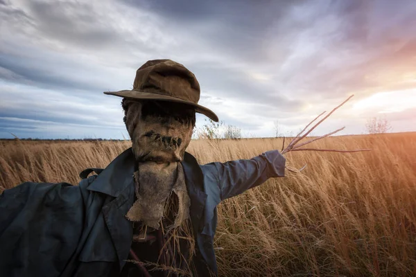 Straszny strach na wróble na polu pszenicy o zachodzie słońca — Zdjęcie stockowe