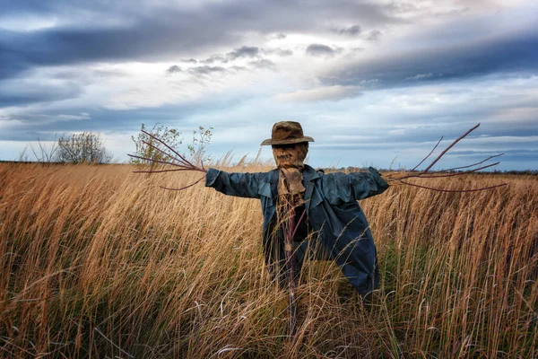 O espantalho no campo de trigo — Fotografia de Stock