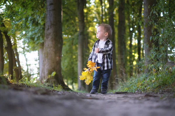 Ragazzo nel parco autunnale — Foto Stock