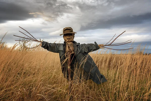 The scarecrow in the wheat field — Stock Photo, Image