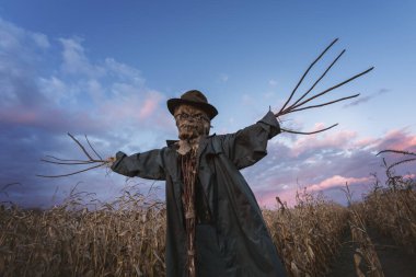 Şapkalı korkunç korkuluk.