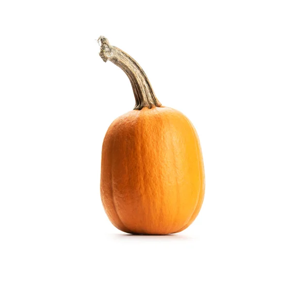Pumpkin on white background isolated — Stock Photo, Image
