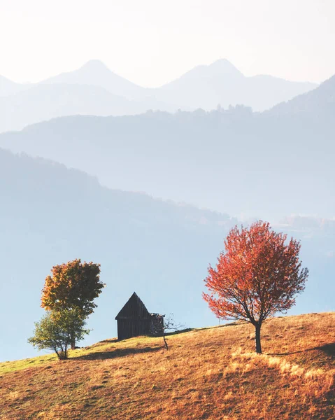 Picturesque autumn meadow with wooden house — Stock Photo, Image