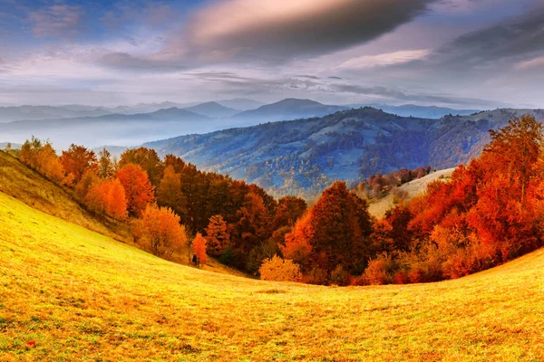 Montanhas de outono pitorescas com floresta de faia vermelha — Fotografia de Stock