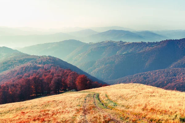 Montanhas de outono pitorescas com floresta de faia vermelha — Fotografia de Stock