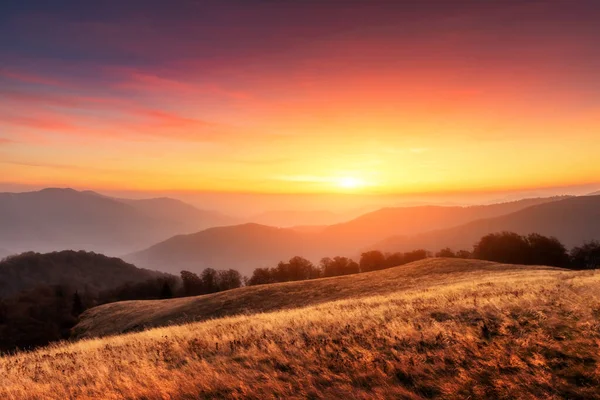 Picturesque autumn mountains with red beech forest — Stock Photo, Image