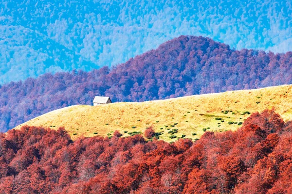 Prairie d'automne pittoresque avec maison en bois — Photo