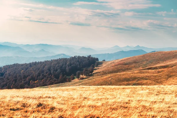 Picturesque autumn mountains with red beech forest — Stock Photo, Image