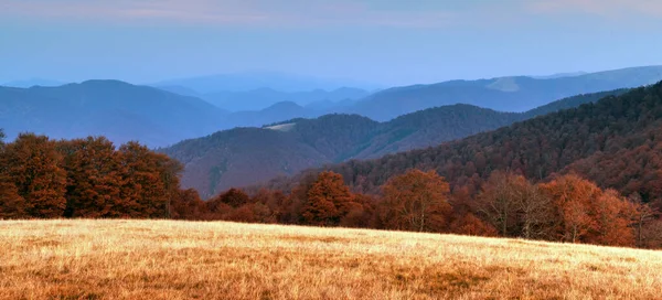 Picturesque autumn mountains with red beech forest — Stock Photo, Image