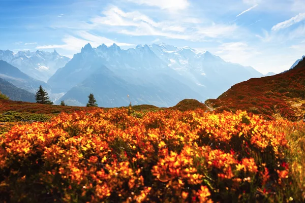 以蒙大拿山为背景的比安科山脉的壮丽景色 — 图库照片