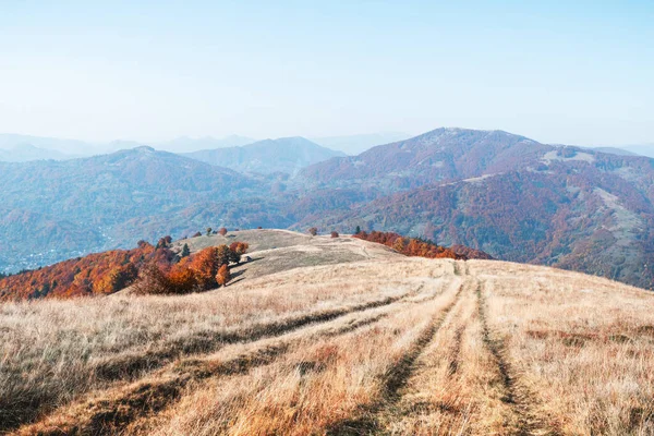 Picturesque autumn mountains with red beech forest — Stock Photo, Image