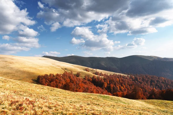 Picturesque autumn mountains with red beech forest — Stock Photo, Image