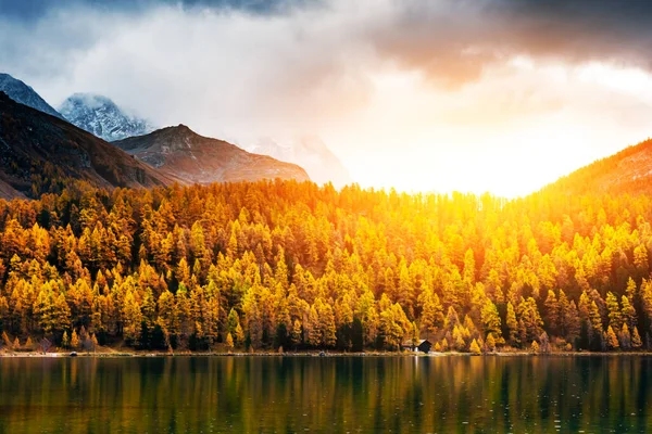 Herbstlicher Sils-See in den Schweizer Alpen — Stockfoto
