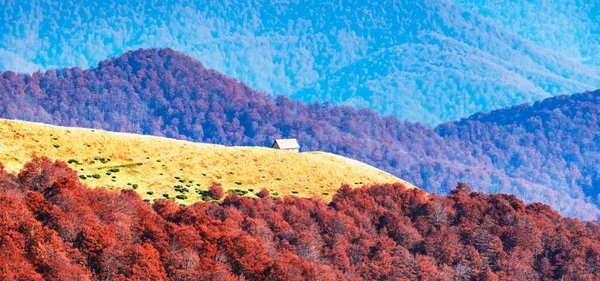 Ahşap evi olan resimli sonbahar çayırı — Stok fotoğraf