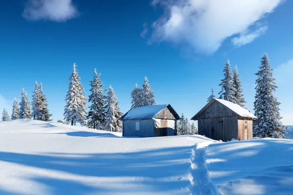 雪の家と幻想的な風景 — ストック写真