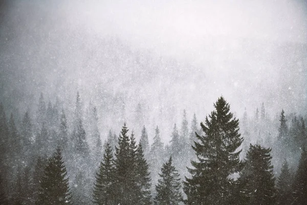 Snowstorm in winter mountains — Stock Photo, Image