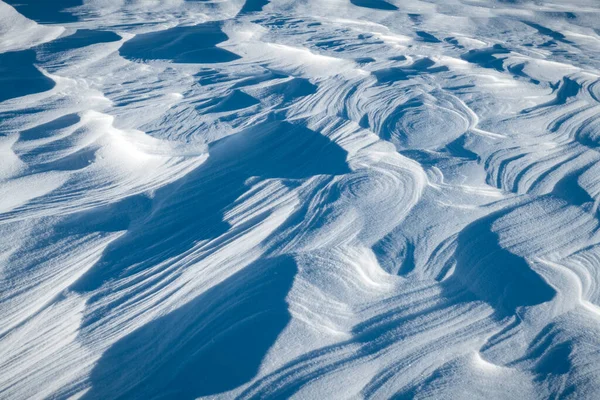 Textura de neve no campo em um dia ensolarado — Fotografia de Stock