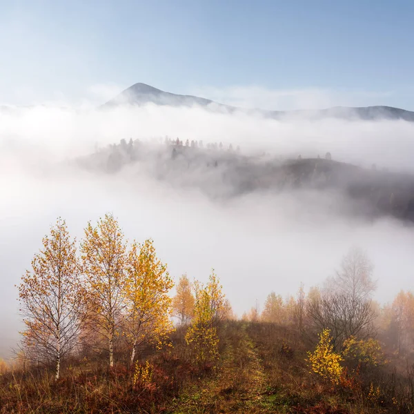 秋の山々の絶景 — ストック写真