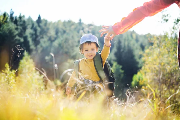 Liten unge i gul tröja går med mamma i höstskogen — Stockfoto