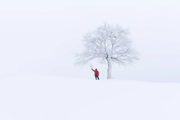 Paisagem incrível com uma árvore nevada solitária — Fotografia de Stock