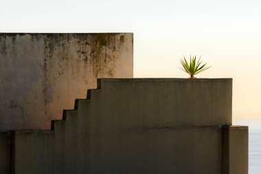 Beton duvarları, merdivenleri ve İtalya 'nın Akdeniz kıyısında küçük bir fabrikası olan minimalist mimari detaylar. Yaz ışığı, temiz çizgiler ve geometrik şekiller.