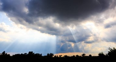 Sunbeam siluet ağaçlar üzerinde ile kara bulutlu fırtına.