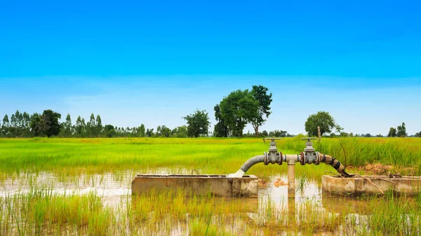 水通过管道从管子涌向耕地 — 图库照片