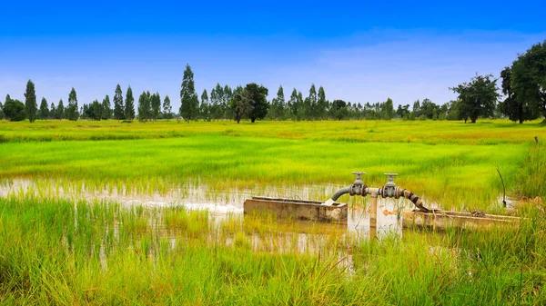 水通过管道从管子涌向耕地 — 图库照片