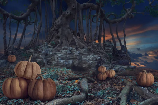 ハロウィーンの夜の暗い森の背景のデザイン — ストック写真