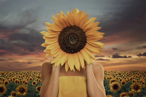 Hermosa Joven Con Girasol Sus Manos Delante Del Campo —  Fotos de Stock