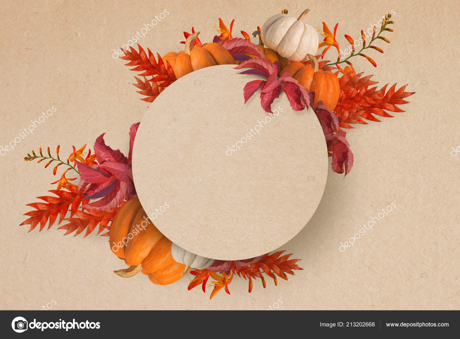 Dessin Abstrait Automne Fleurs Citrouilles Cadre Halloween