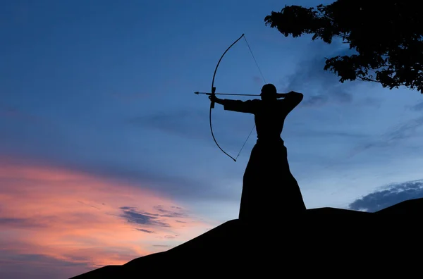 Man silhouette demonstrating martial arts — Stock Photo, Image