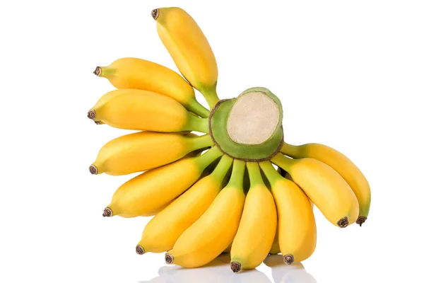 Parta banánů izolovaná — Stock fotografie