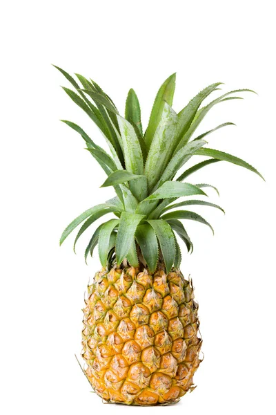 Fresh whole pineapple isolated on white — Stock Photo, Image