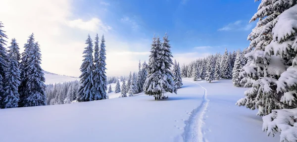 공정한 나무와 풍경입니다 관광객 풍경입니다 크리스마스 휴일입니다 Snowdrifts에 — 스톡 사진