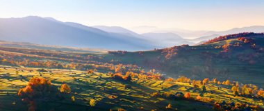 Olağanüstü sonbahar manzara. Haystacks yeşil tarlalarda. Ağaçlar turuncu ve kırmızı yaprakları ile kaplı. Dağ manzaraları. Güzel güneş ışınlarının. Yer yer Ukrayna, Europe.