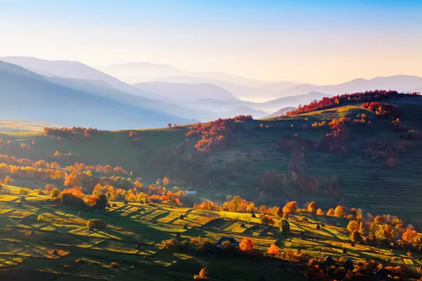 stock image Extraordinary autumn scenery. Green fields with haystacks. Trees covered with orange and crimson leaves. Mountain landscapes. Nice rays of the sun. Location place Carpathian national park, Ukrain, Europe.