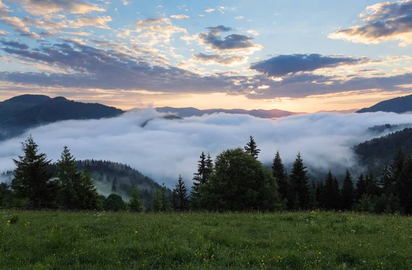 Berglandschaft Sonnenaufgang Den Wolken Dichter Nebel Mit Angenehm Sanftem Licht — Stockfoto